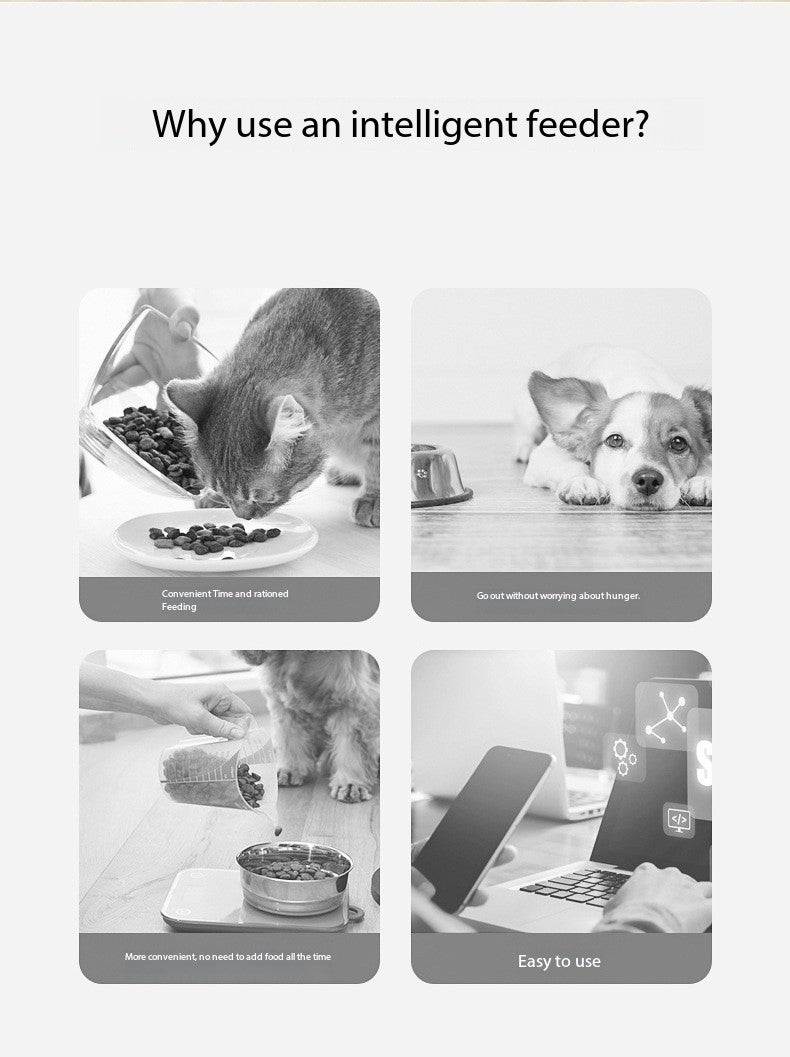 Purrtechpet Automatic Pet Feeder Two Bowl