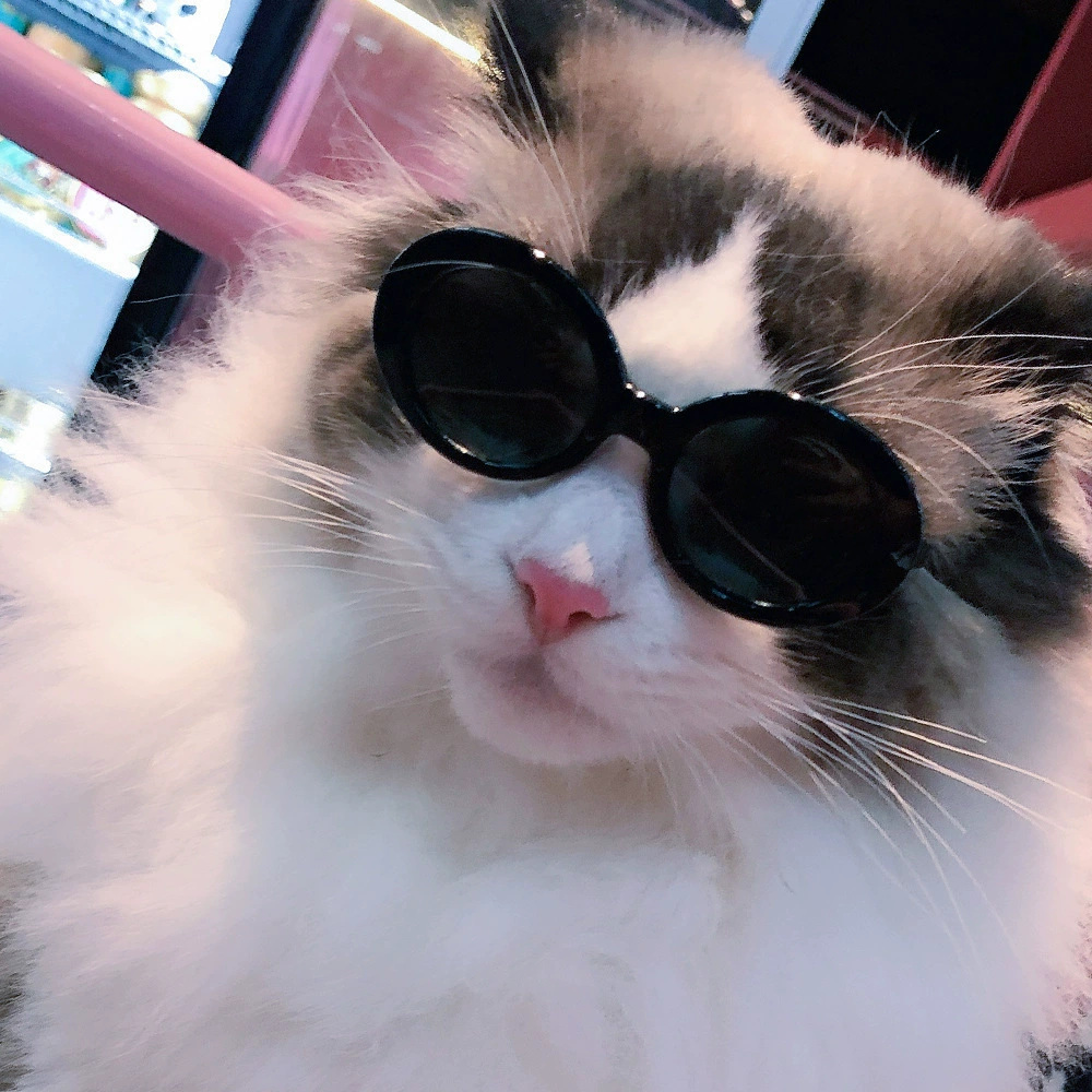 Purrtechpet Pet Cats and Dogs Sunglasses