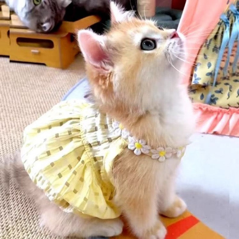 Purrtechpet Pet Cats and Dogs Clothes