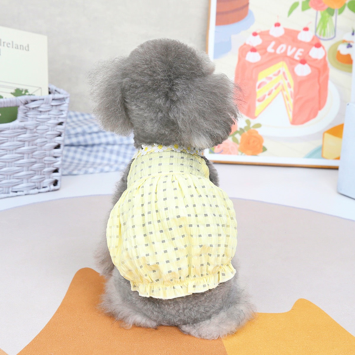 Purrtechpet Pet Cats and Dogs Clothes