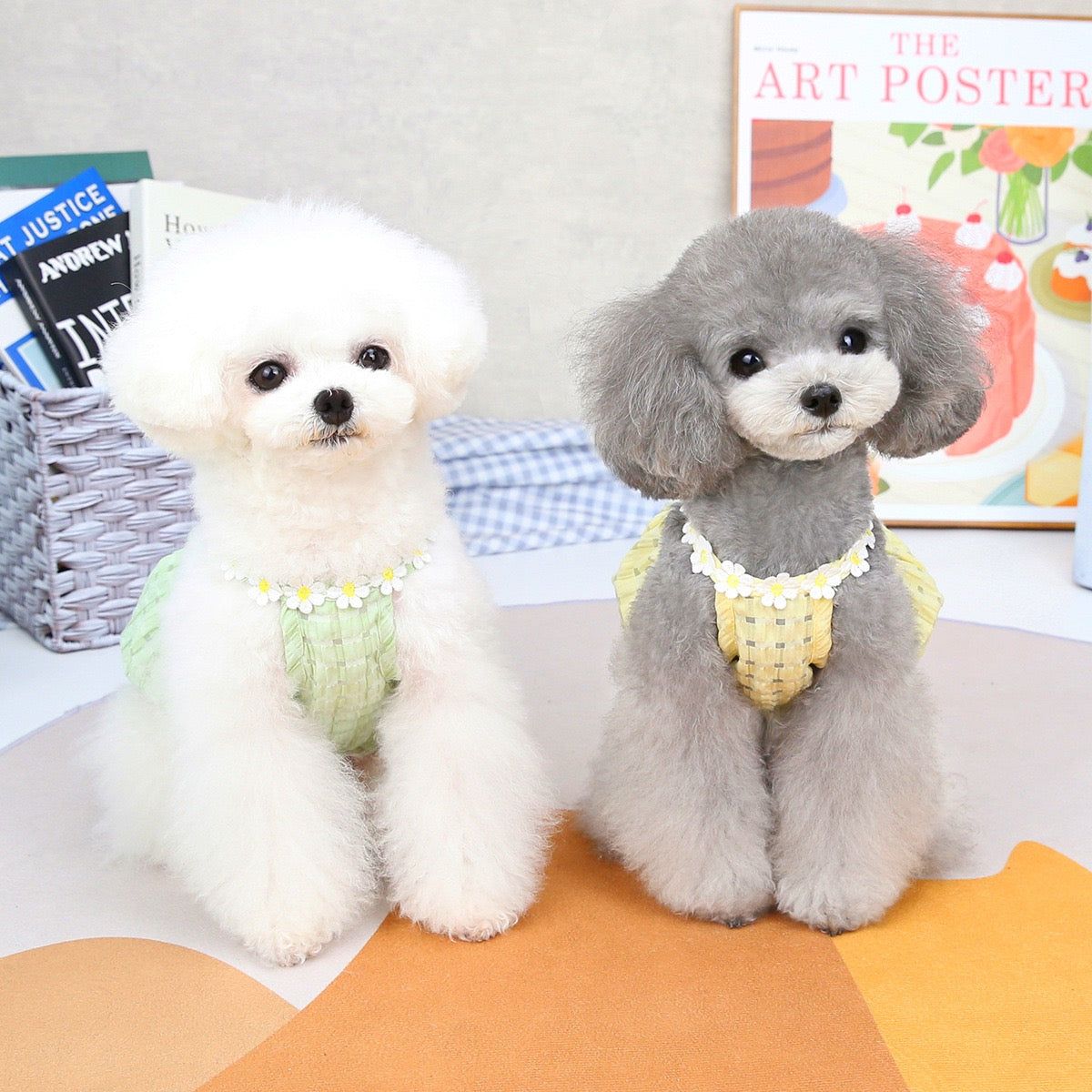Purrtechpet Pet Cats and Dogs Clothes