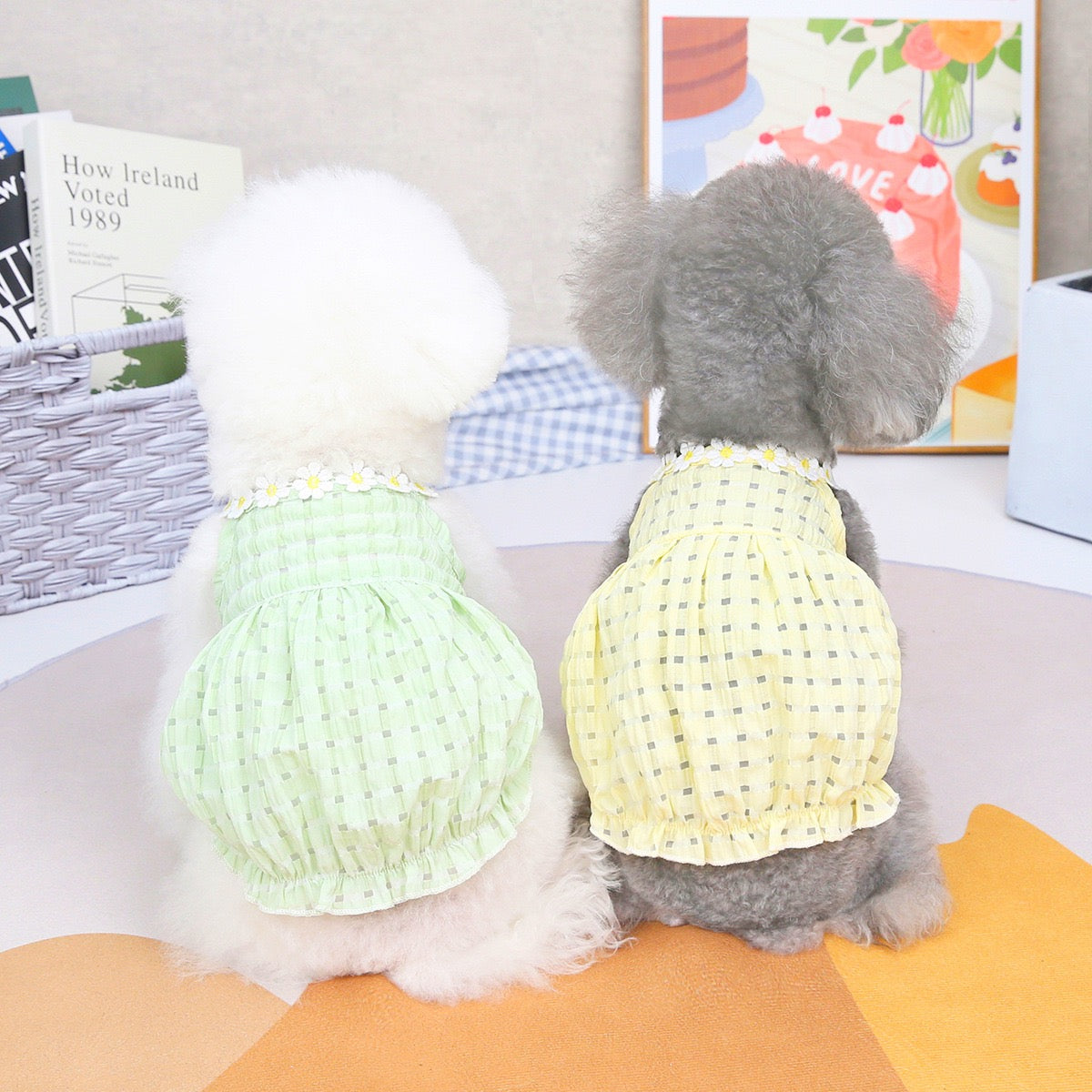 Purrtechpet Pet Cats and Dogs Clothes