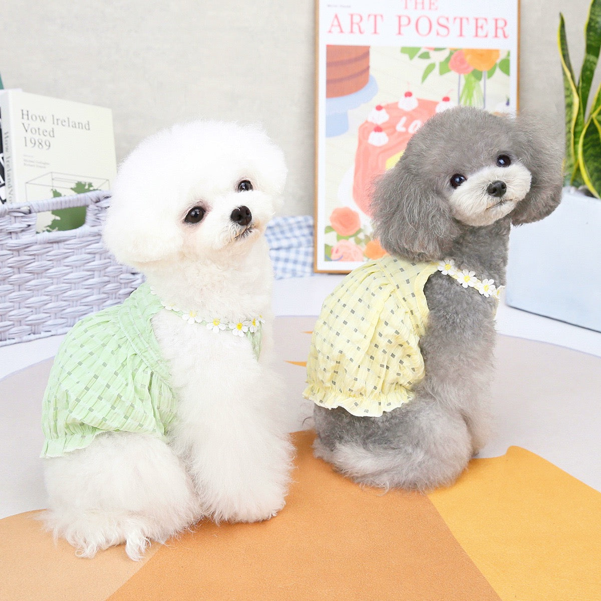 Purrtechpet Pet Cats and Dogs Clothes