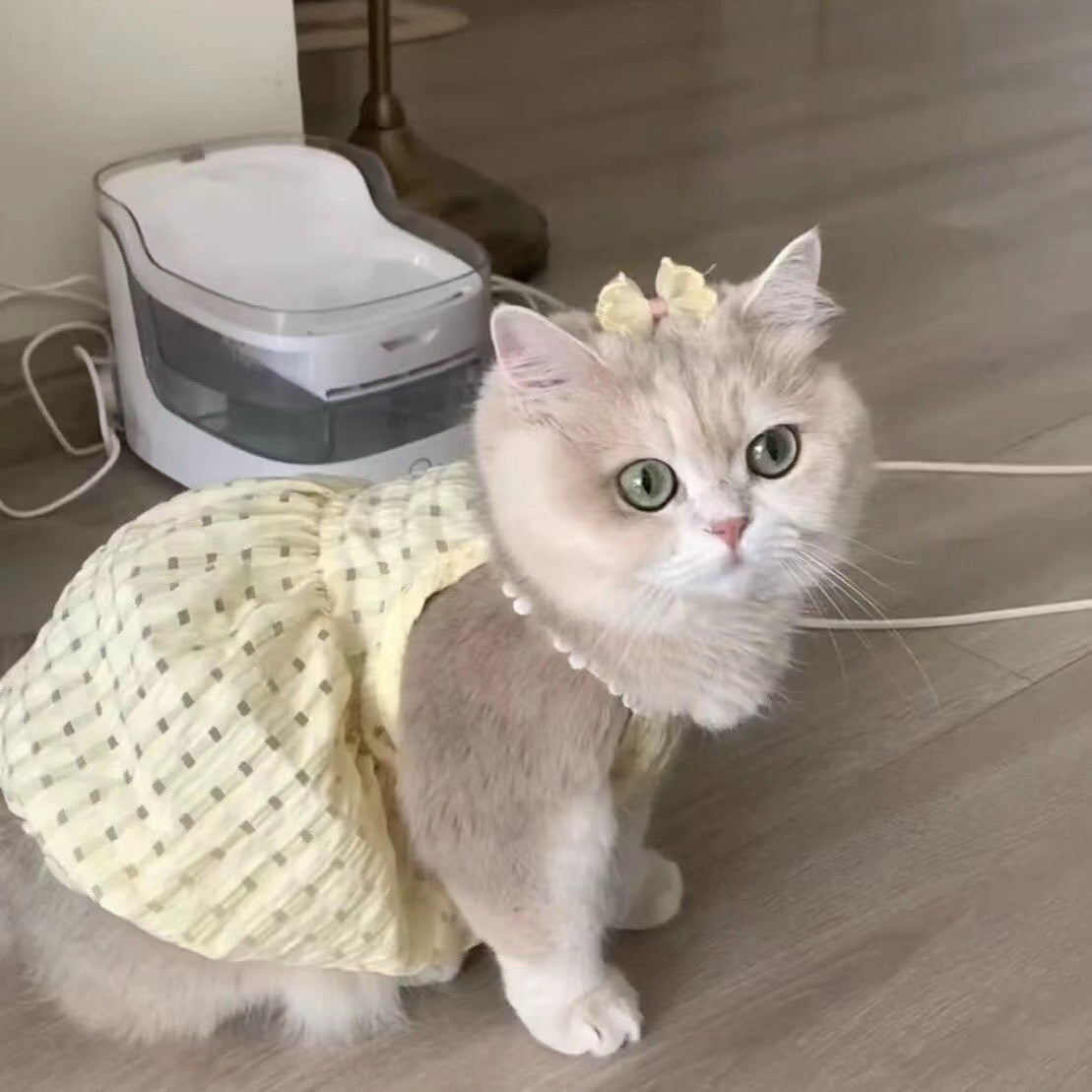 Purrtechpet Pet Cats and Dogs Clothes
