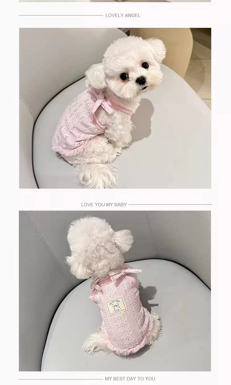Purrtechpet Pet Cats and Dogs Clothes