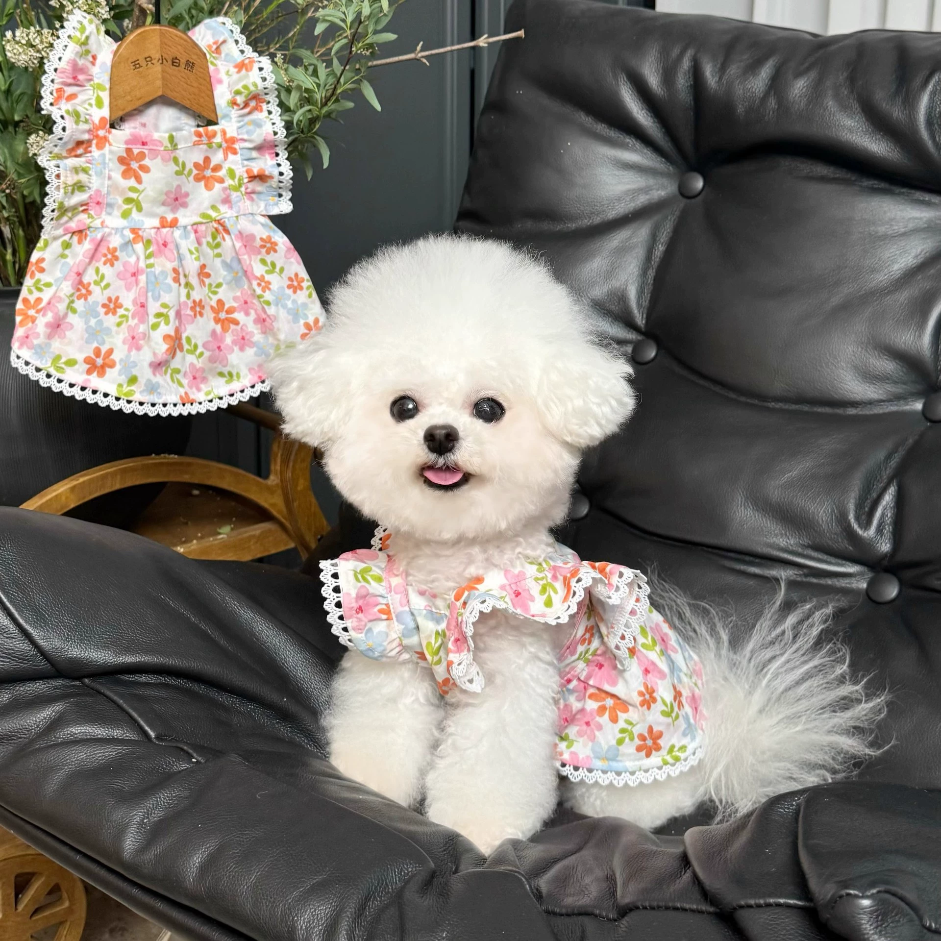 Purrtechpet Pet Cats and Dogs Clothes