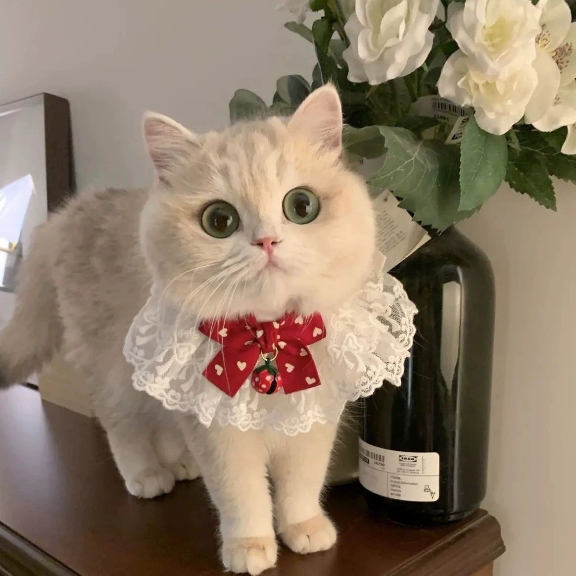 Purrtechpet Pet Cats and Dogs Scarf Princess Style