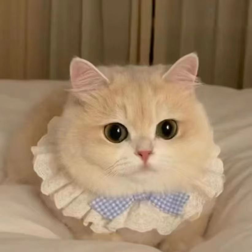 Purrtechpet Pet Cats and Dogs Scarf Princess Style