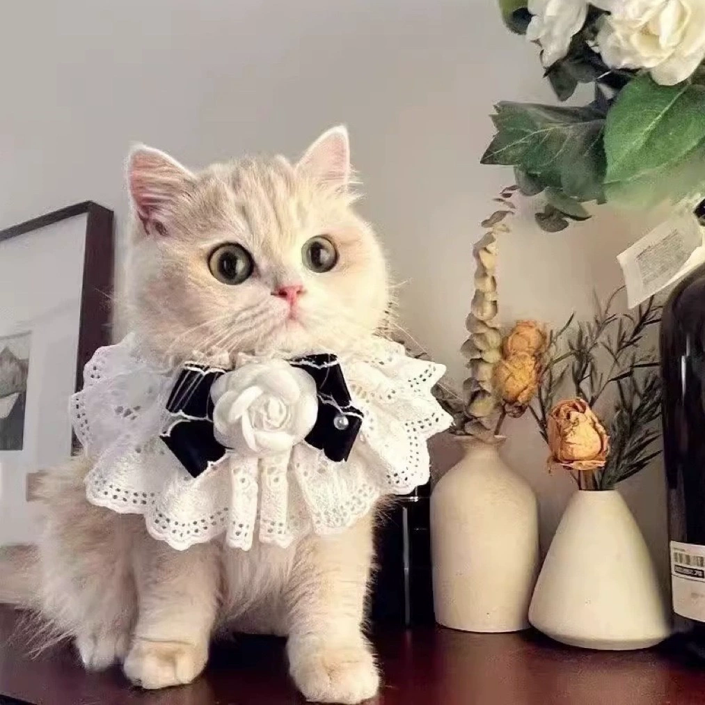 Purrtechpet Pet Cats and Dogs Scarf Princess Style