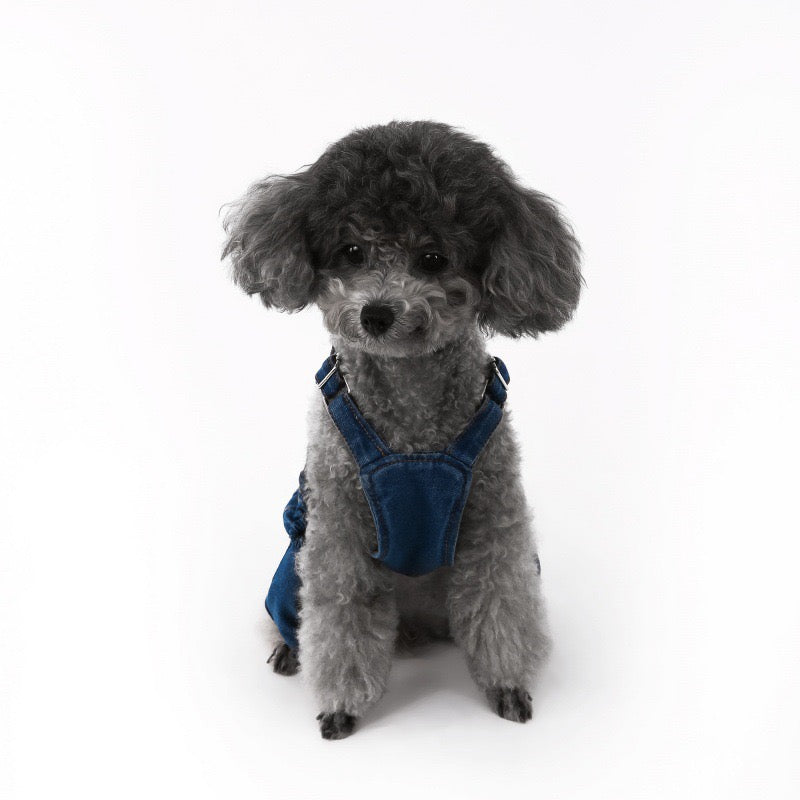 Purrtechpet Pet Cats and Dogs Clothes