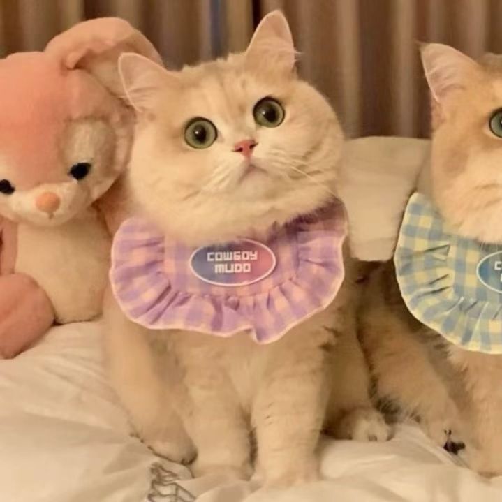 Purrtechpet Pet Cats and Dogs Scarf Princess Style