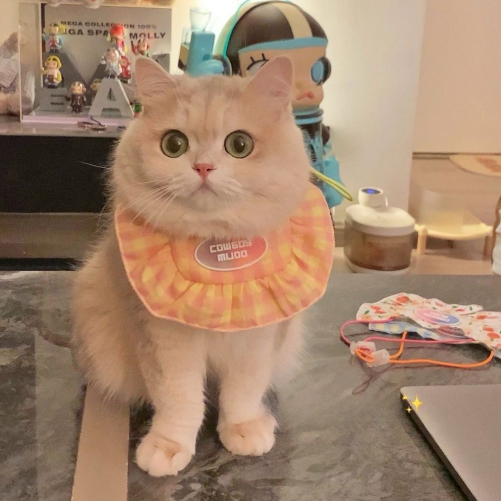 Purrtechpet Pet Cats and Dogs Scarf Princess Style