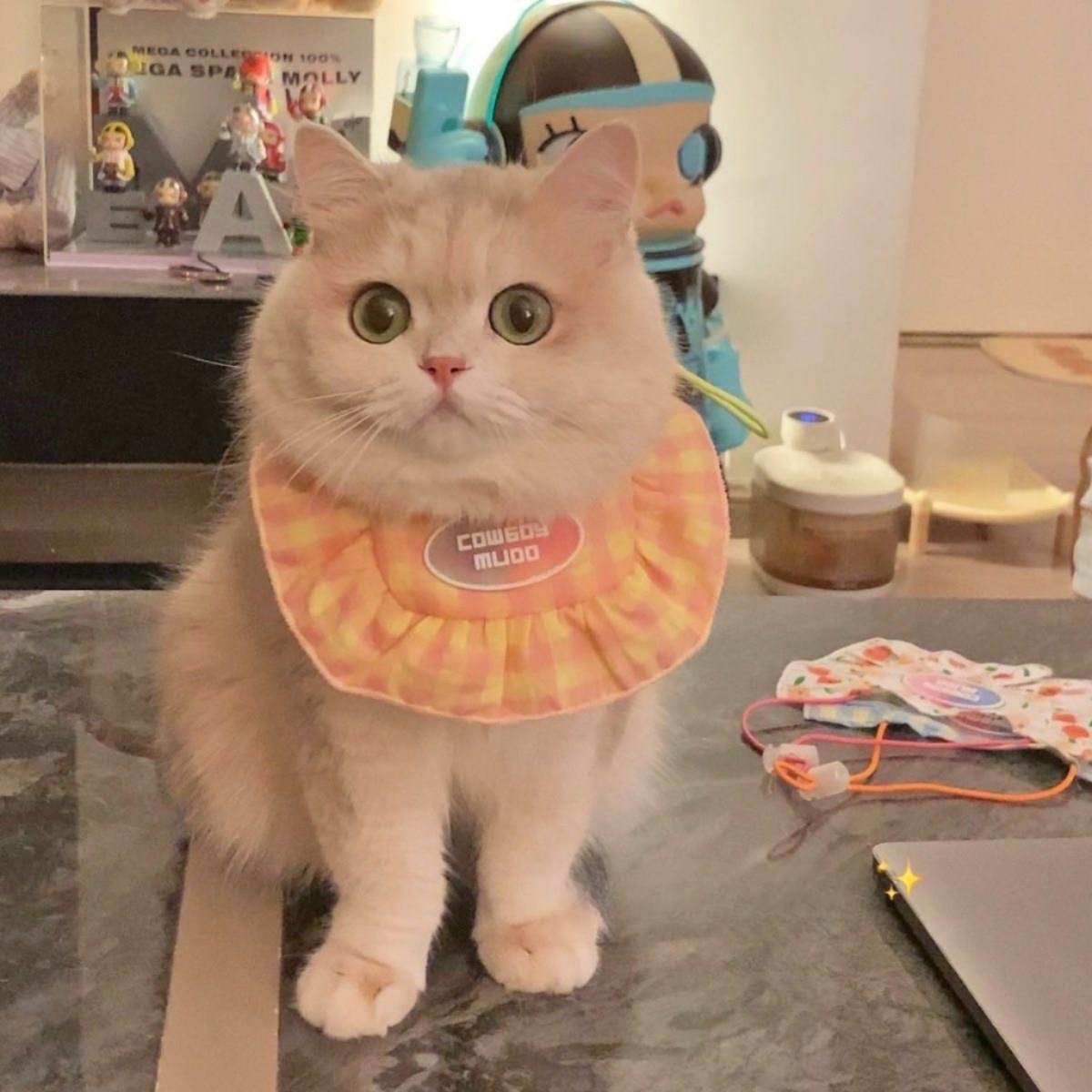 Purrtechpet Pet Cats and Dogs Scarf Princess Style