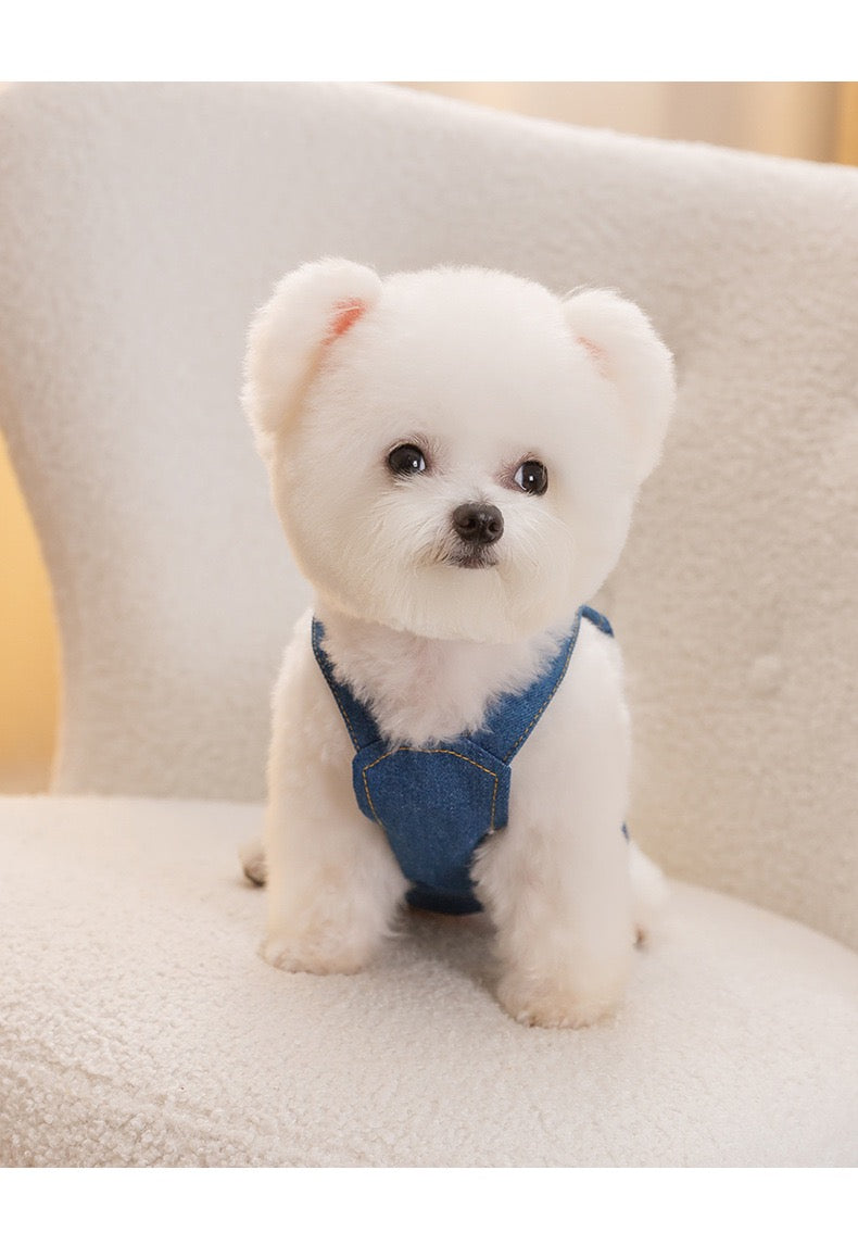 Purrtechpet Pet Cats and Dogs Clothes