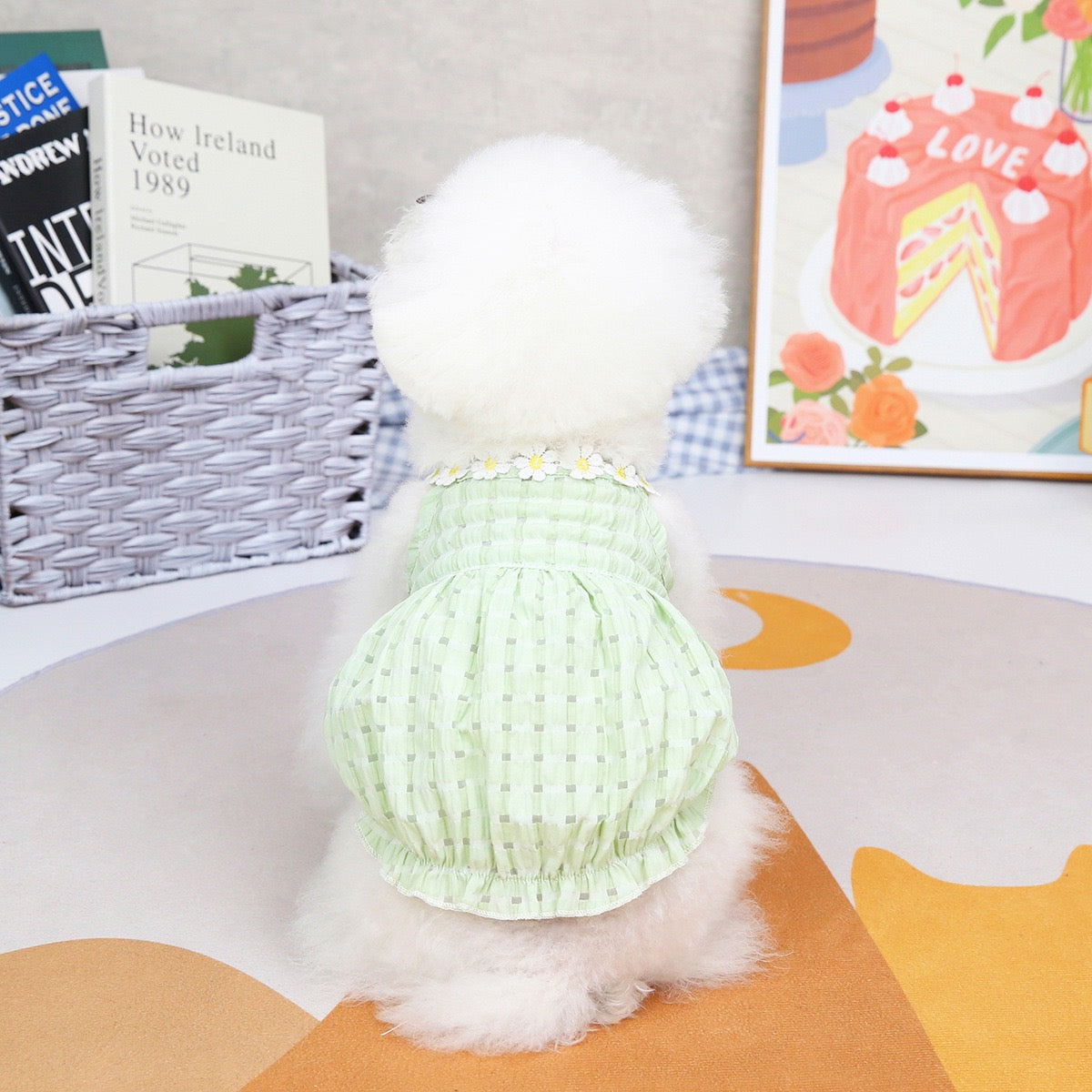 Purrtechpet Pet Cats and Dogs Clothes