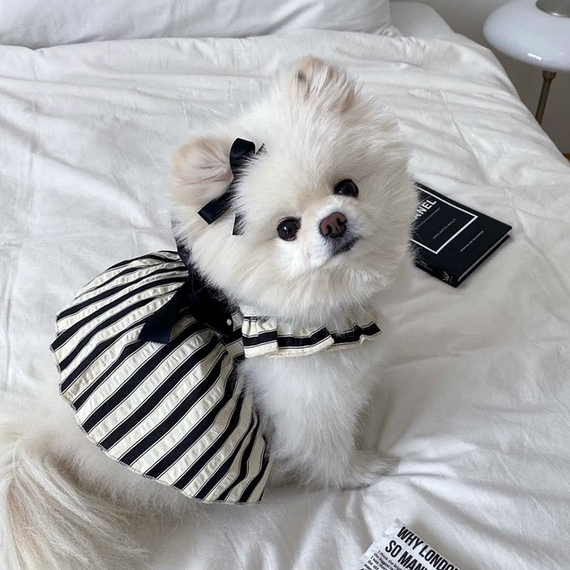 Purrtechpet Pet Cats and Dogs Clothes