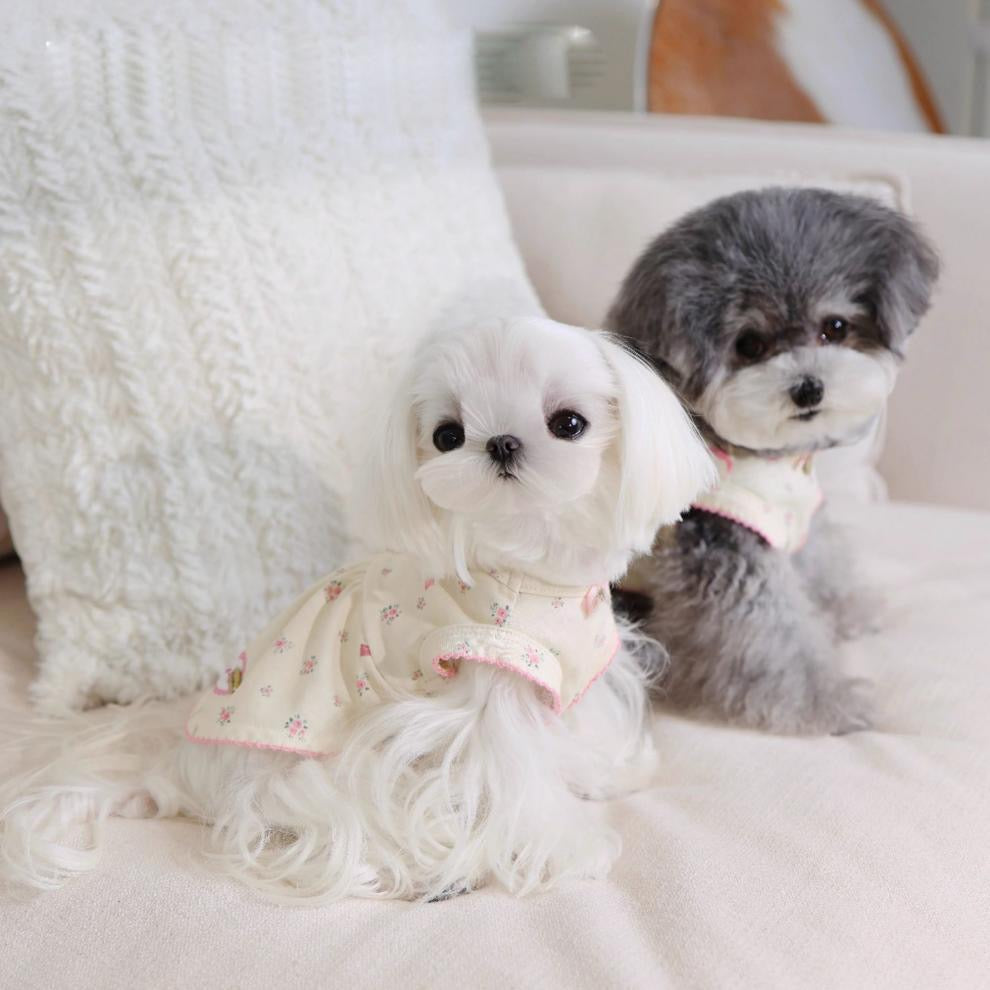 Purrtechpet Pet Cats and Dogs Clothes