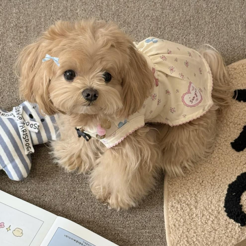 Purrtechpet Pet Cats and Dogs Clothes