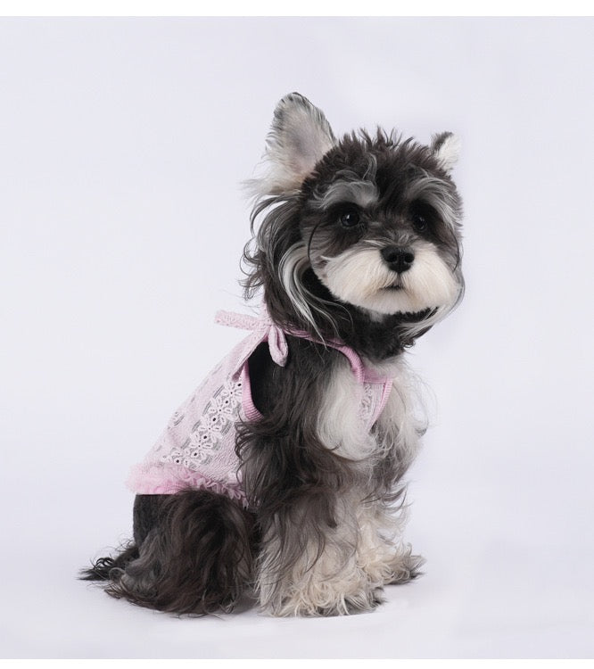 Purrtechpet Pet Cats and Dogs Clothes