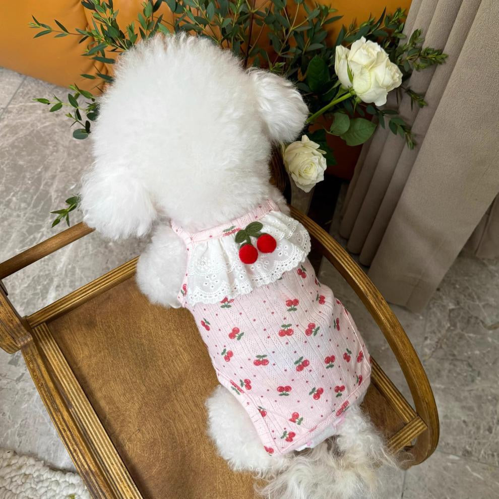Purrtechpet Pet Cats and Dogs Clothes