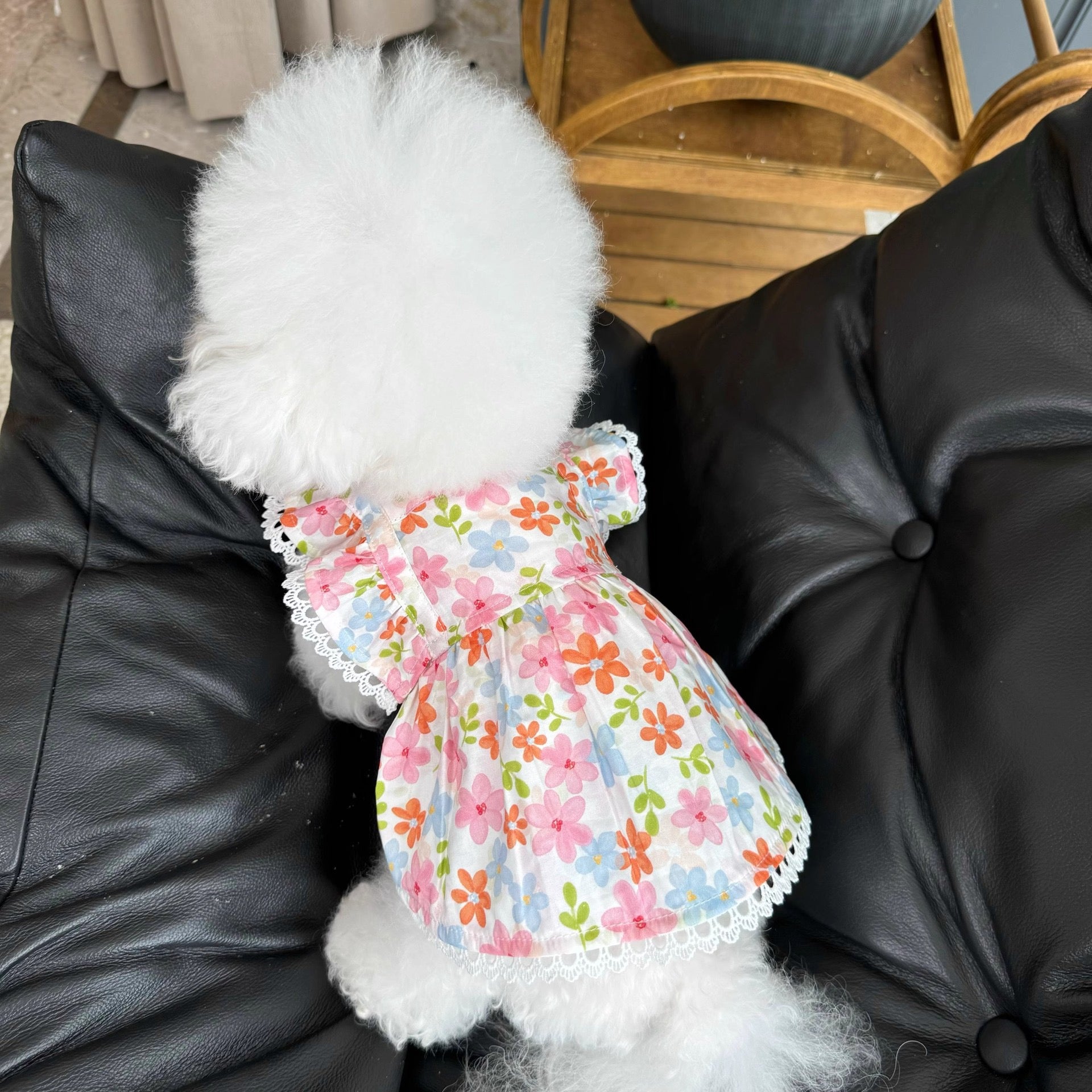 Purrtechpet Pet Cats and Dogs Clothes