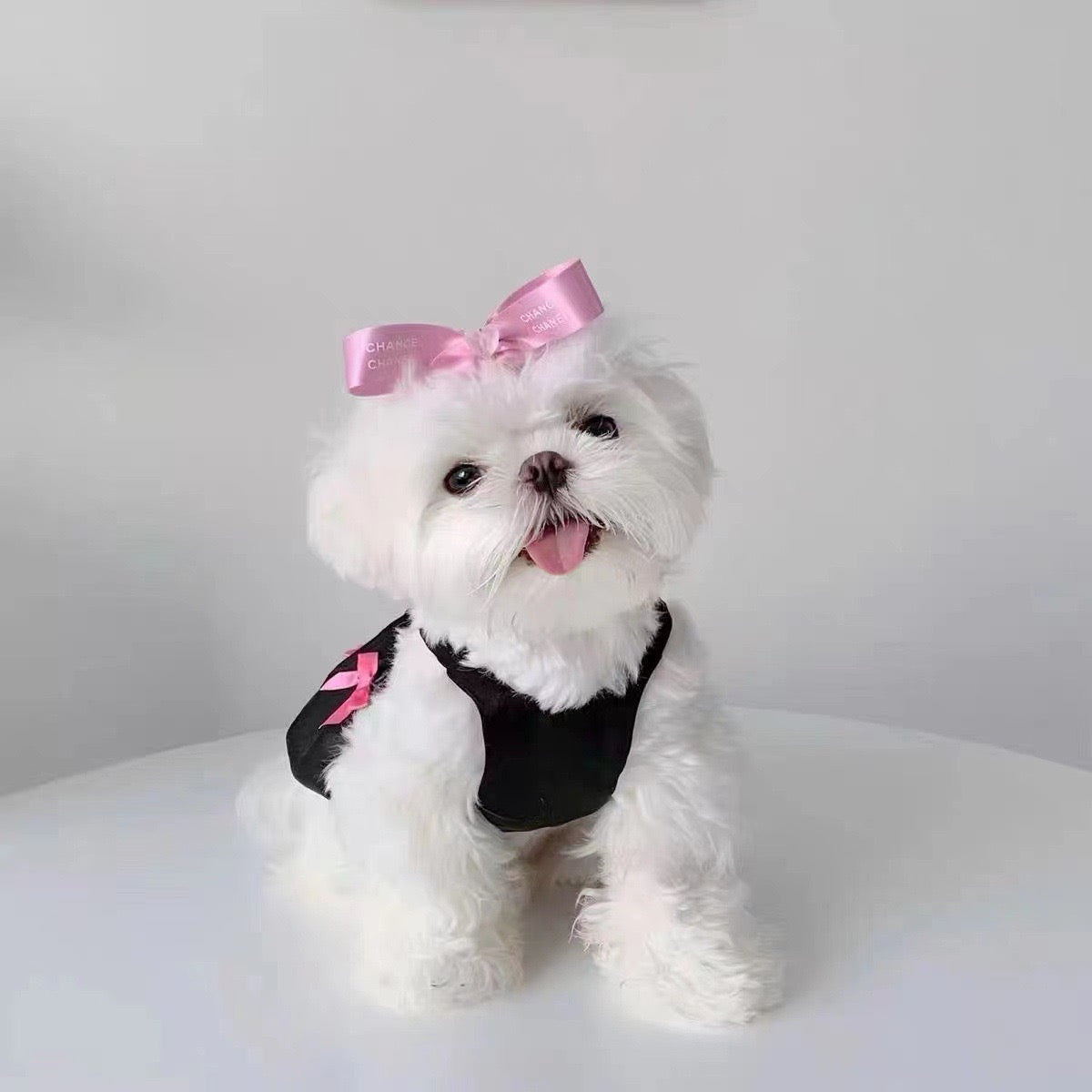 Purrtechpet Pet Cats and Dogs Clothes