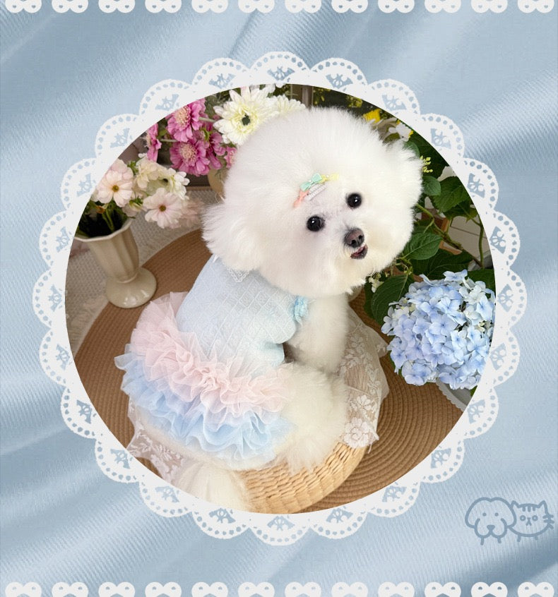 Purrtechpet Pet Cats and Dogs Clothes