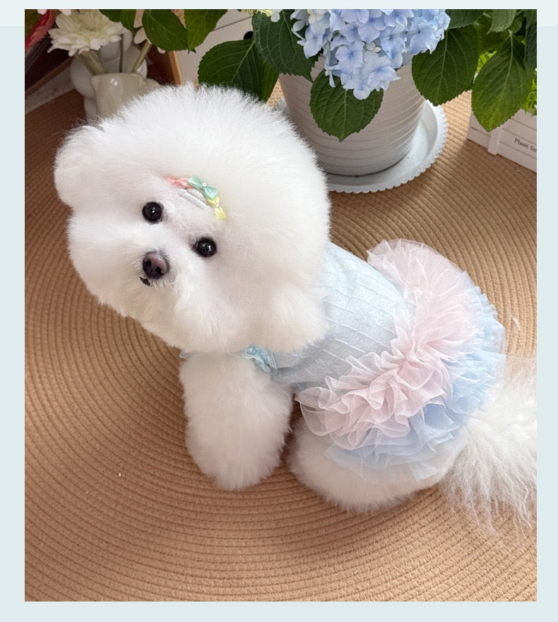 Purrtechpet Pet Cats and Dogs Clothes