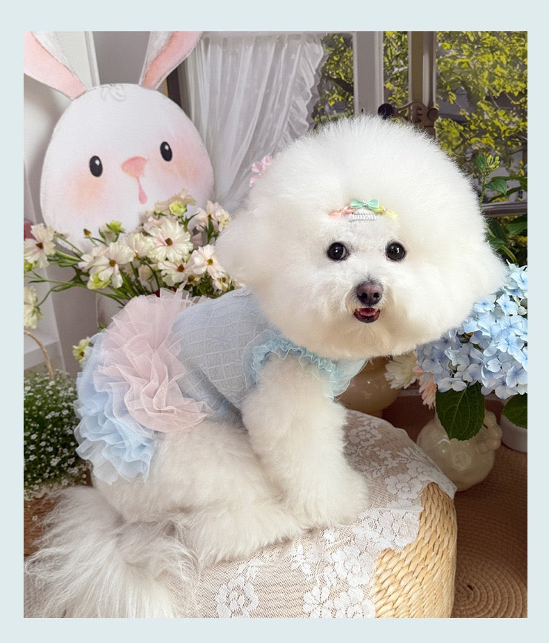 Purrtechpet Pet Cats and Dogs Clothes