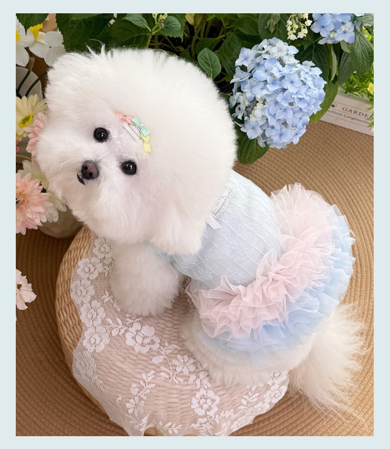 Purrtechpet Pet Cats and Dogs Clothes
