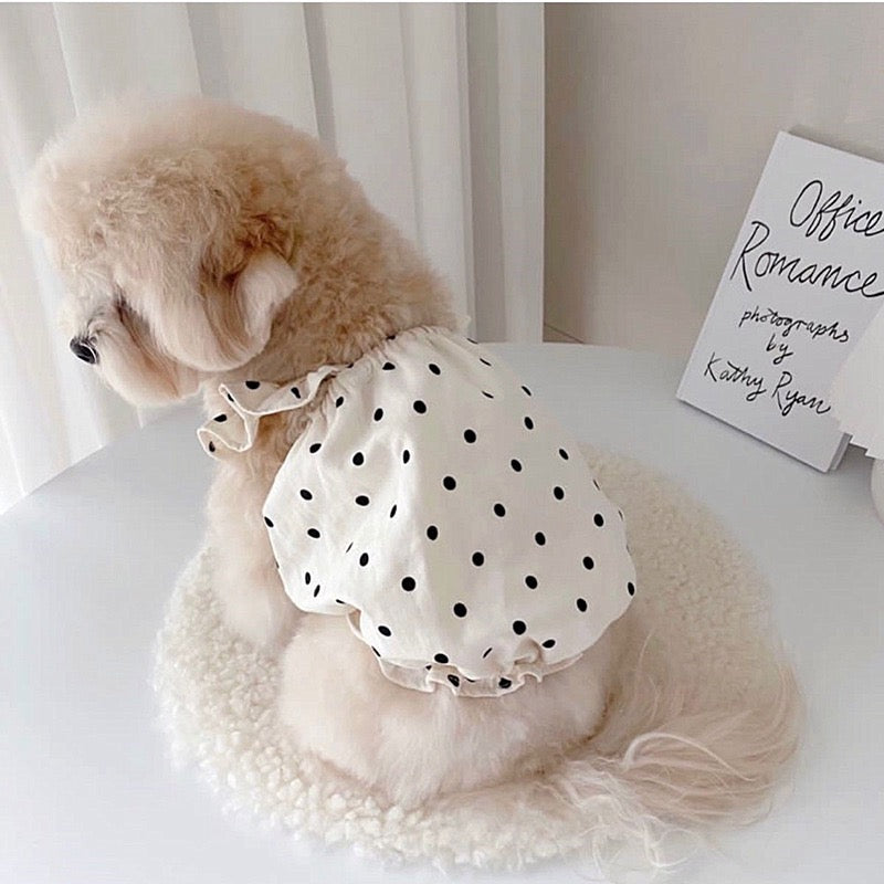 Purrtechpet Pet Cats and Dogs Clothes