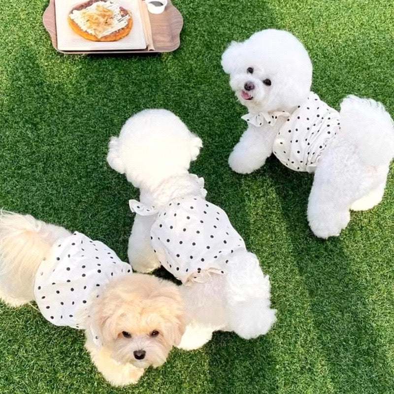 Purrtechpet Pet Cats and Dogs Clothes